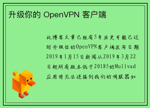 升级你的 OpenVPN 客户端 